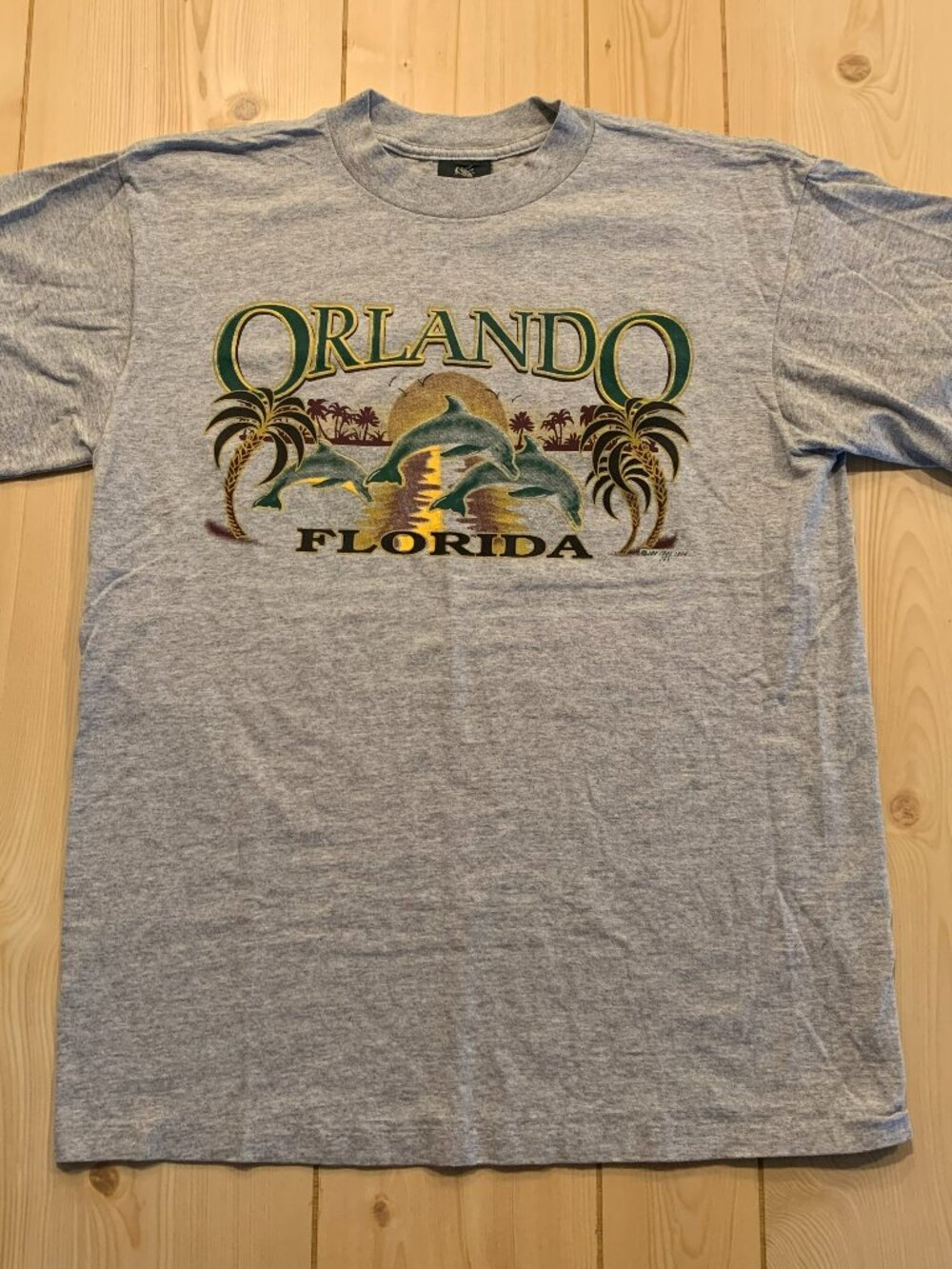 Vintage 90s Joe Cool Orlando Florida Palm Tree Old River Single Stitch T-Shirt L